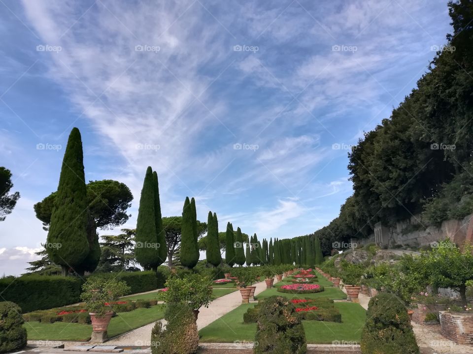 Glimpse of the barberini gardens