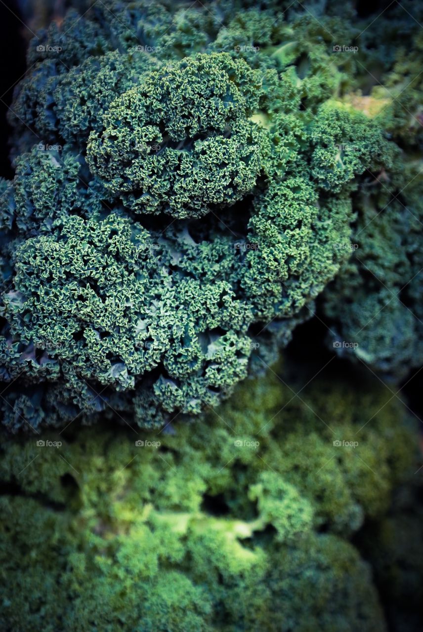 Green Vegetable 