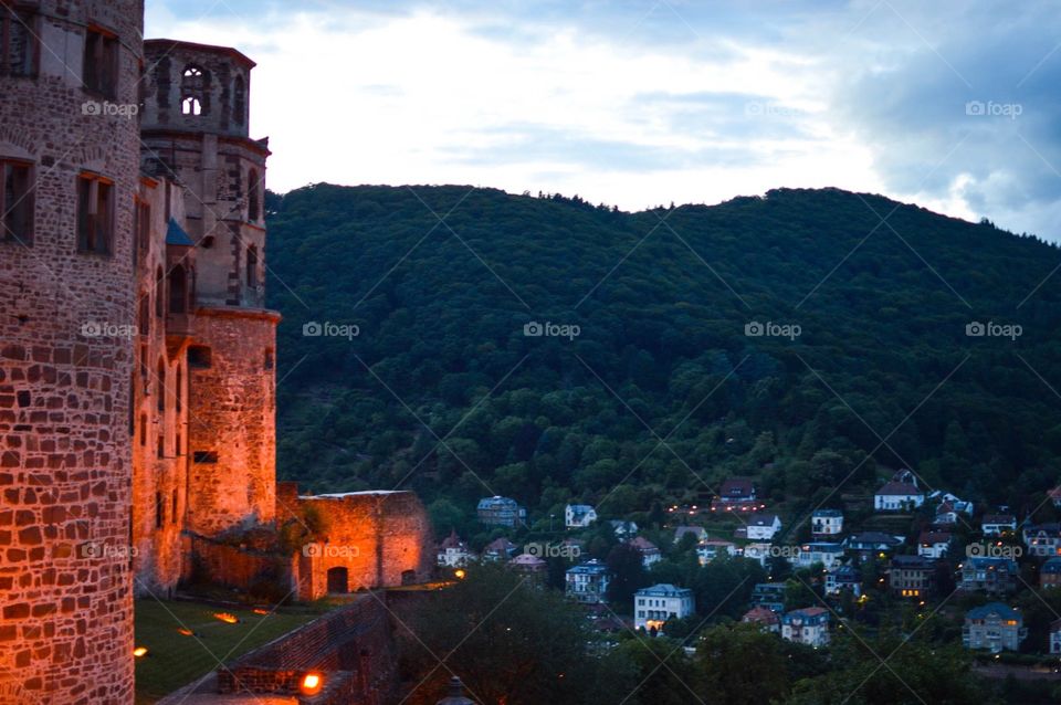 View from the Heidelberg castle 