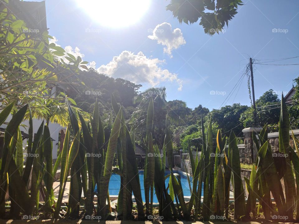 Poolside at Kep Cambodia