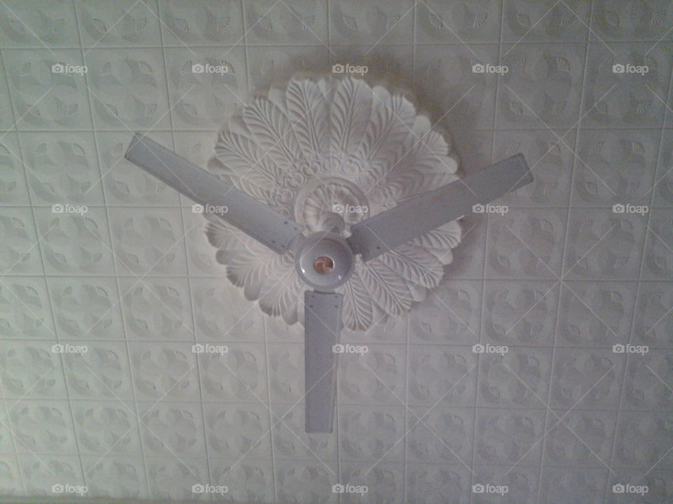 Fan Air and Decorative Roof