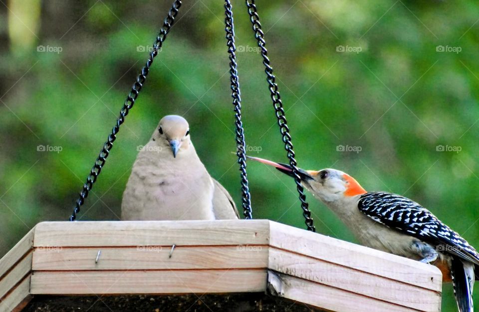 Perhaps time for a duel!