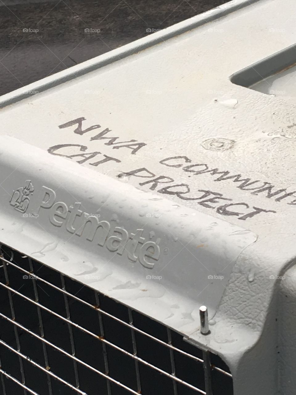 An awesome program to fix ferrel cats and kittens and also helps with needed surgery’s.