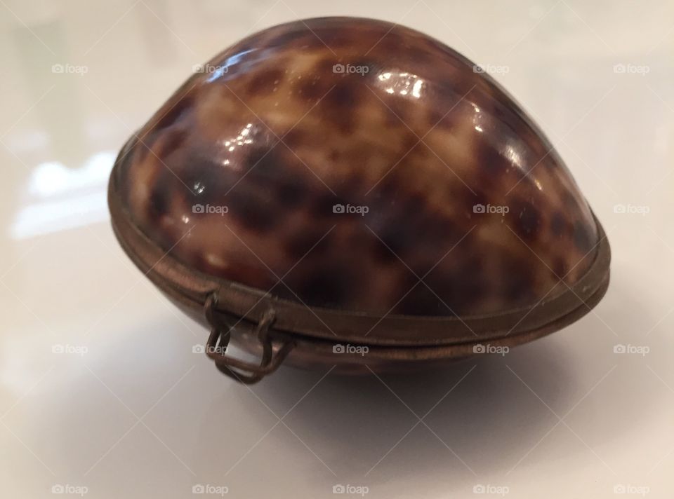 Sea shell jewelry box