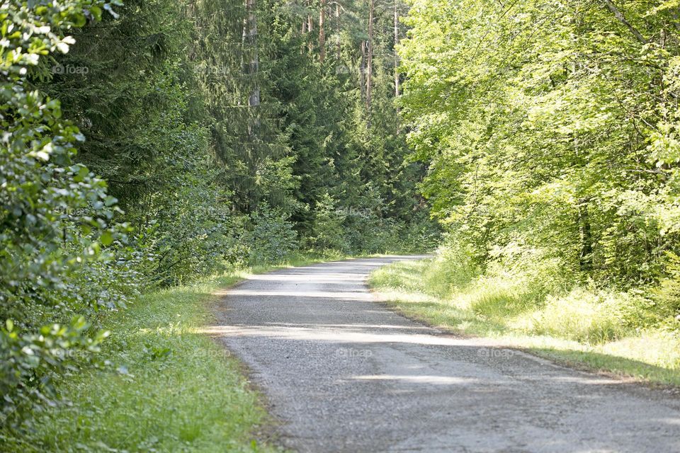 Walking on wild nature forest summer feeling holidays Crete Island Greece amazing places to visit naturalism adventure time hustling daydreaming be free