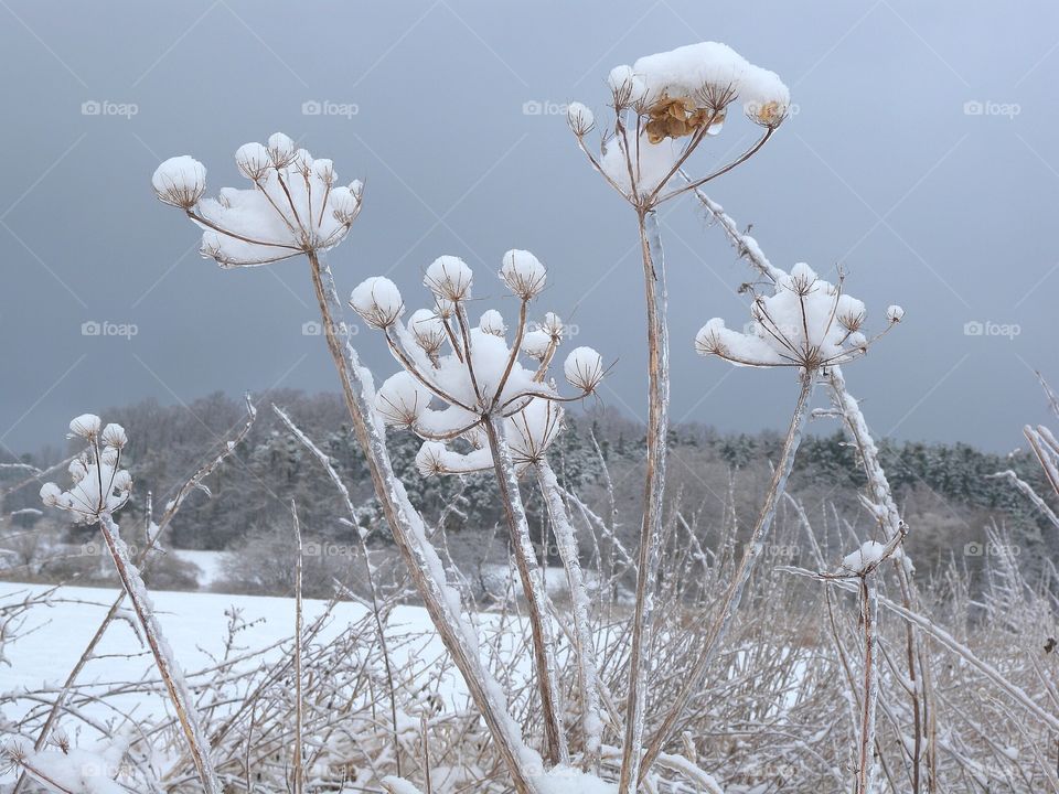 the signs of winter