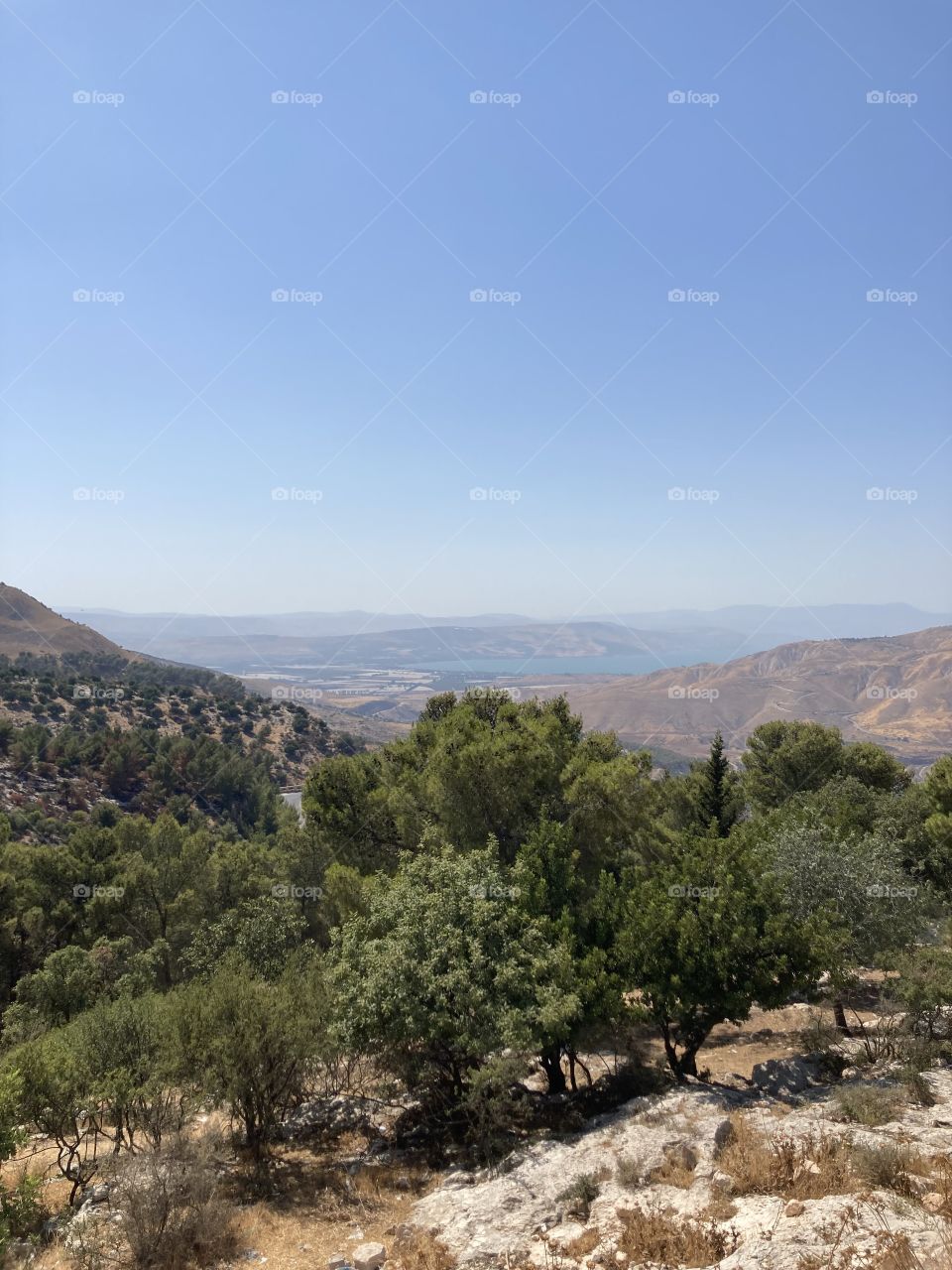 Beautiful nature in Jordan