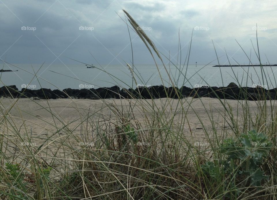 beach grass sand cloud by mrgrambo