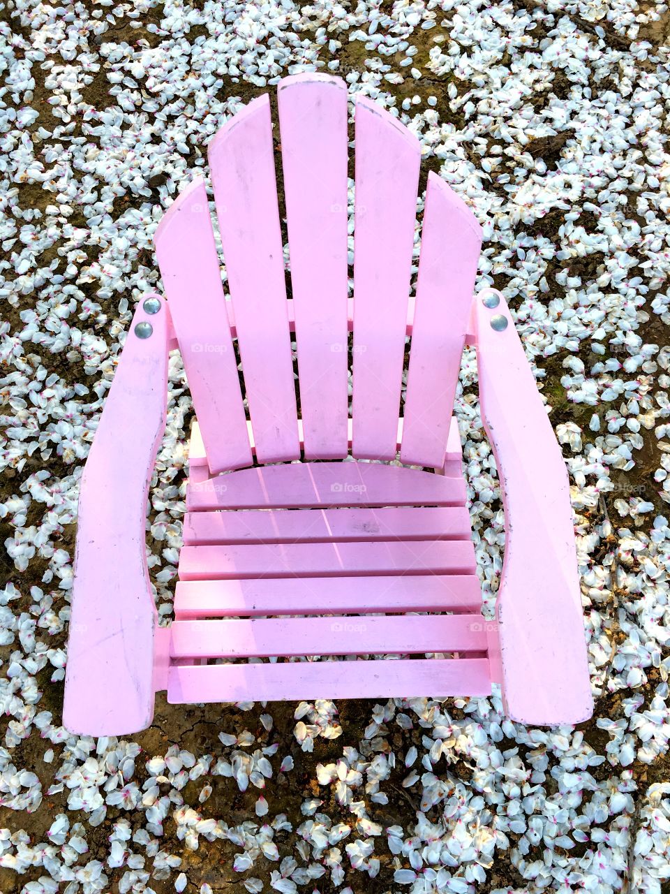 High angle view of pink chair