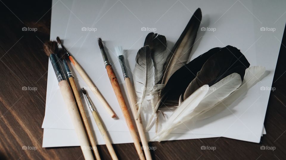 Paintbrushes and feathers on papper