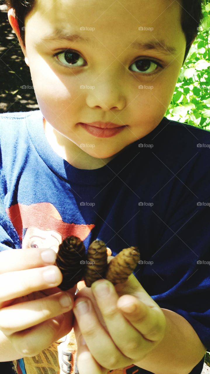 found mini pine cones
