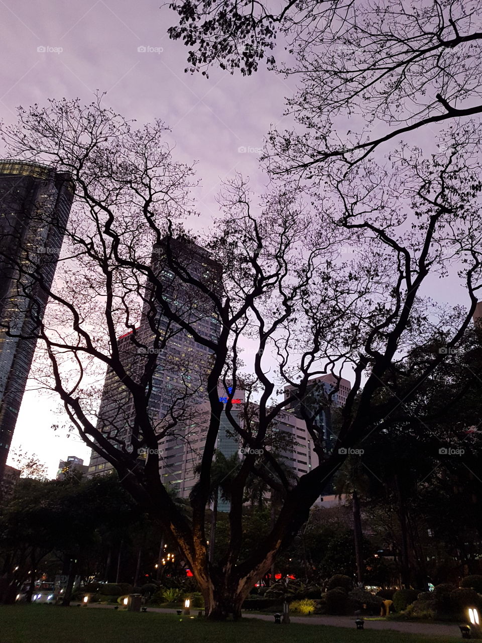 Makati City, Manila, Ayala Triangle park, afternoon walk, run, fitness view