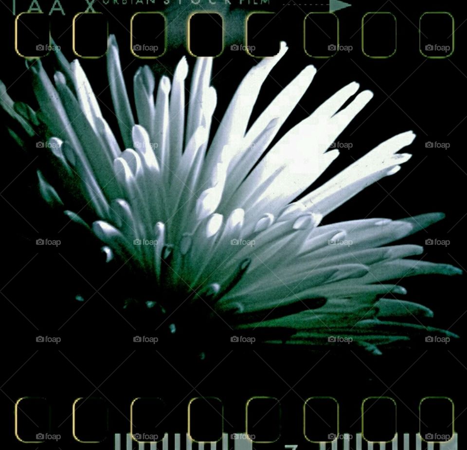 poof... flashlight effect