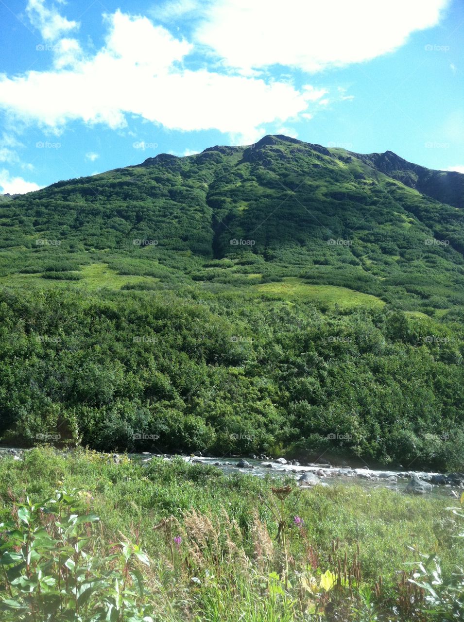 Grassy Mountain in Alaska
