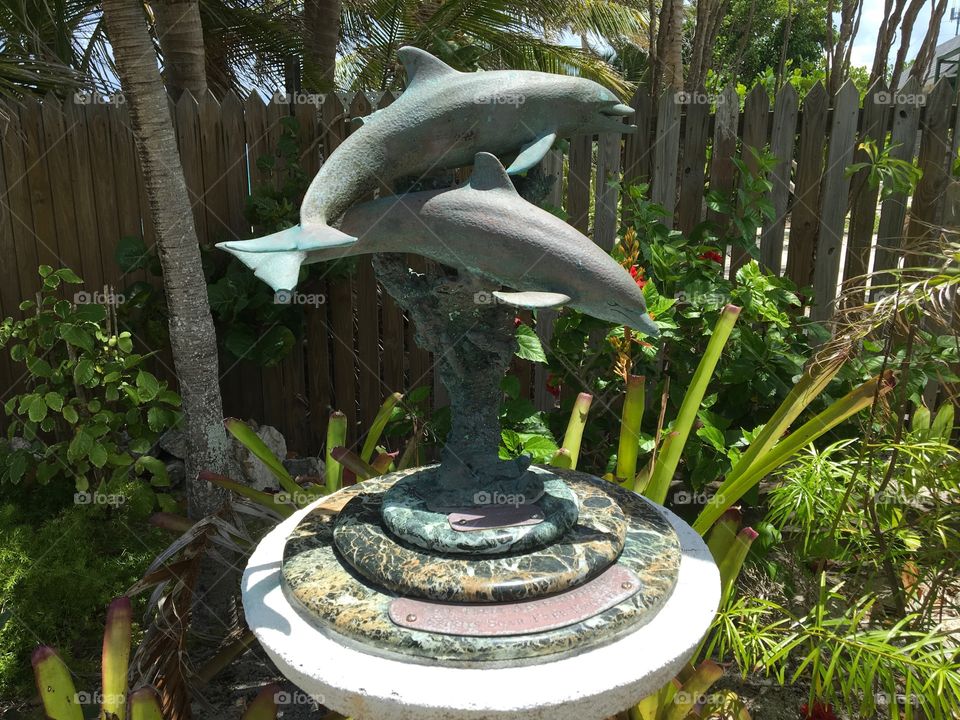 Dolphin sculpture 