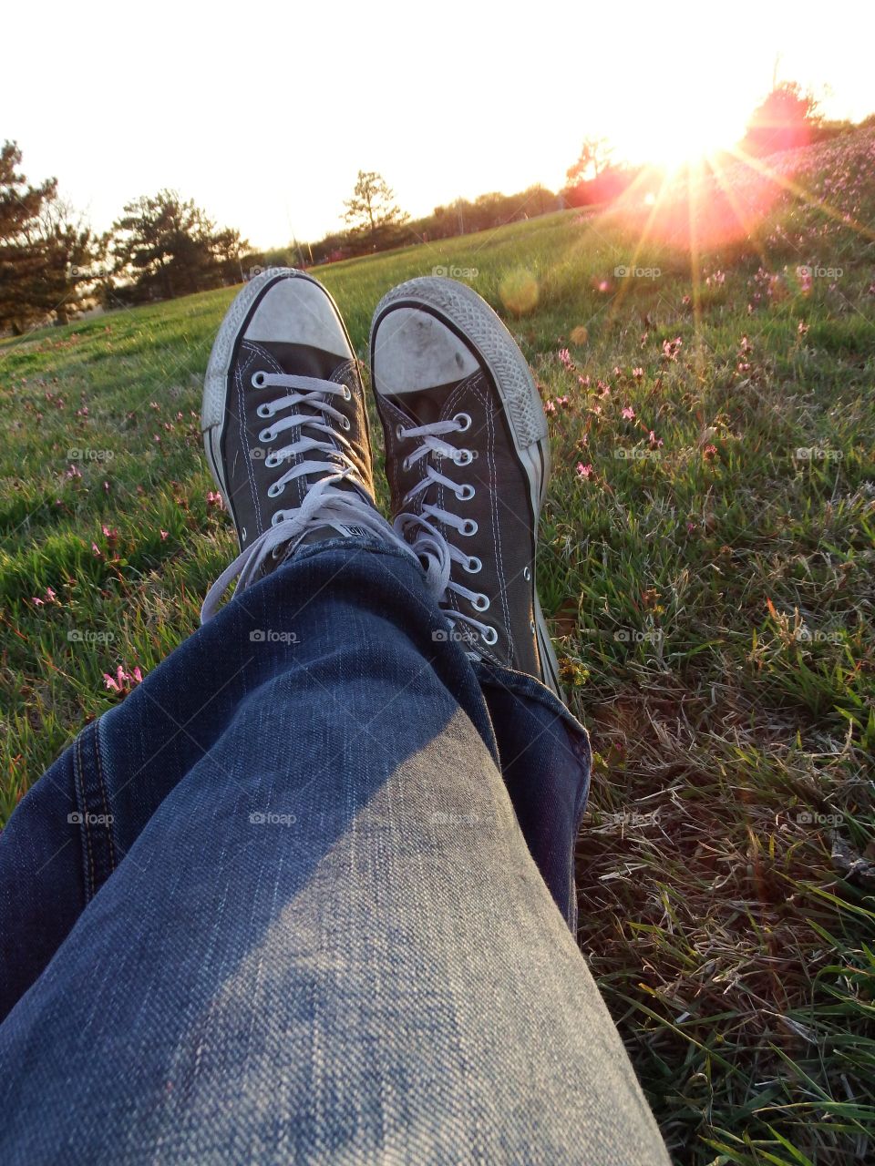 Close-up of human's leg sitting on grassy field