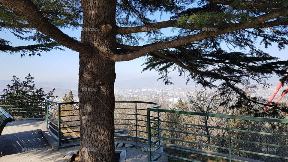 view of the city from a mountains
