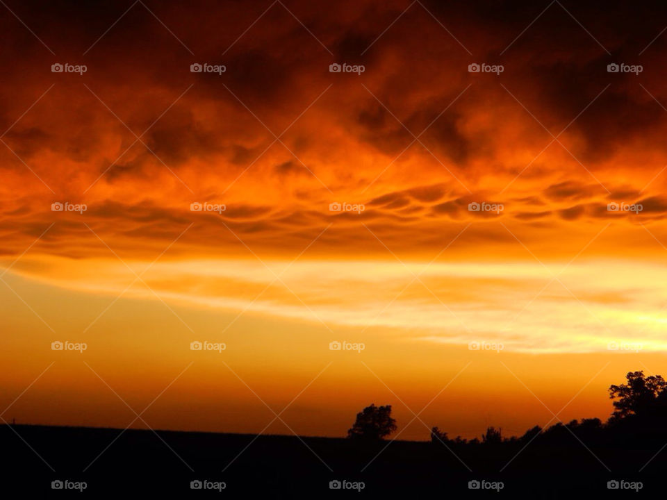 yellow sunset orange fire by tnb