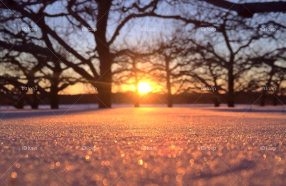 Snowy sunset