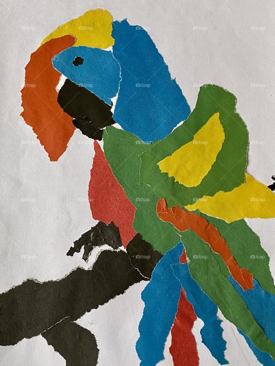 colorful parrot on a tree branch