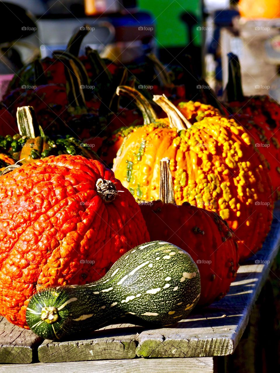 Bumpkins! Totally cute bumpy pumpkins of the autumn season.