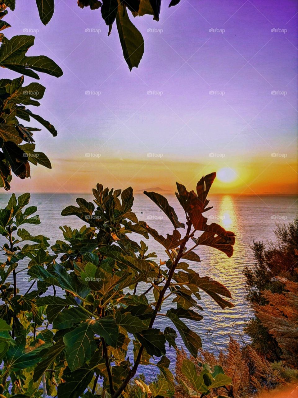 a golden sunset by the sea