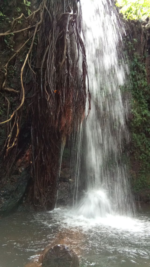 just compilation  roots and water...