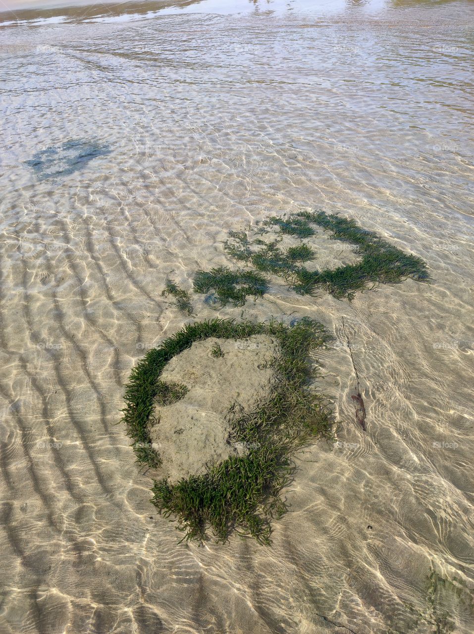 on the beach in the afternoon