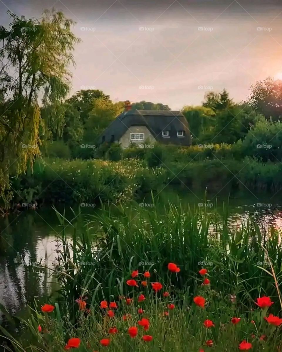 Glory be to God, the magnificent and picturesque view and the natural green trees are a view that is nothing more wonderful than it