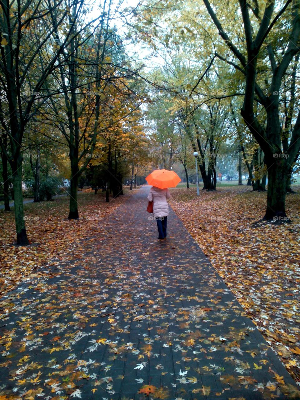 rainy day woman walking with umbrella autumn city park