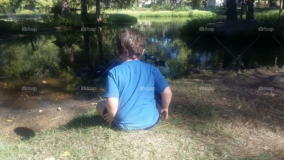 Boy watching ducks in the park