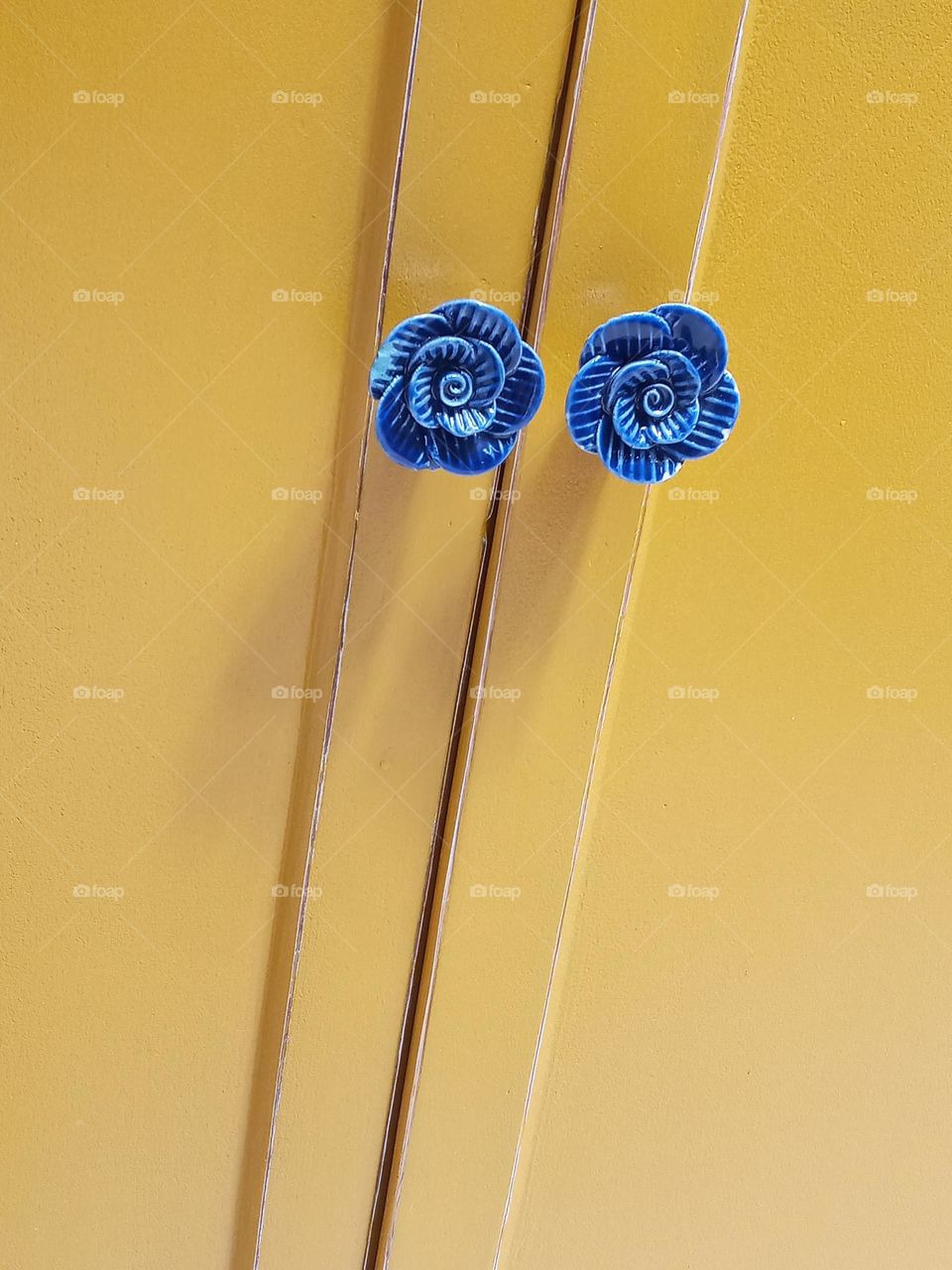 Colour explosion 🌝