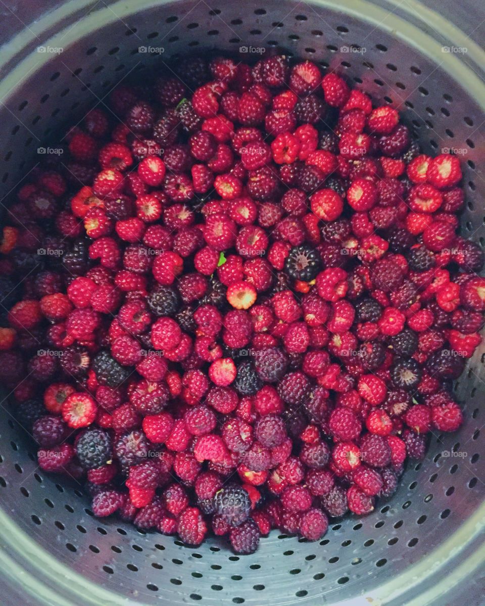 Berrys 