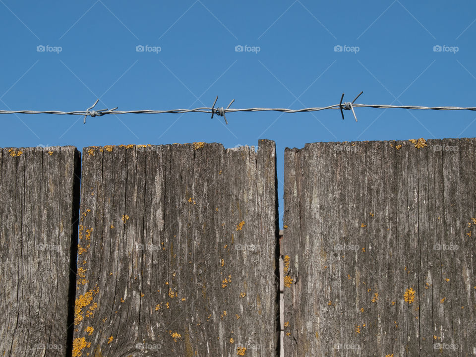 barbed fence