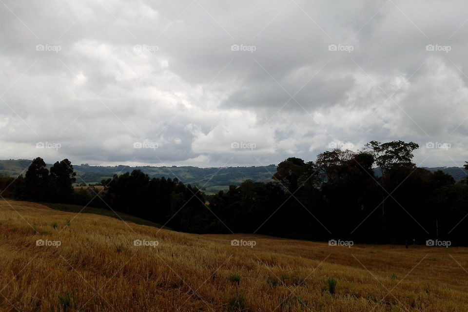 Field - Salgado Filho