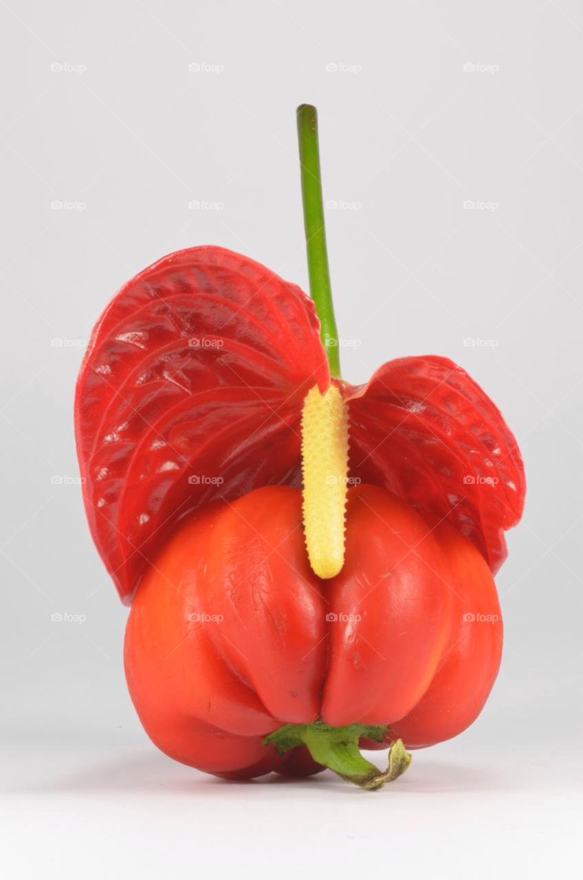 red anthurium pepper by albertobaldelli