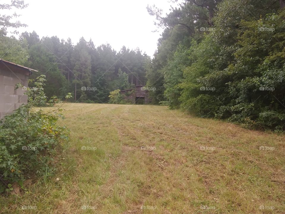 old abandoned horse barn and freshly cut pasture!