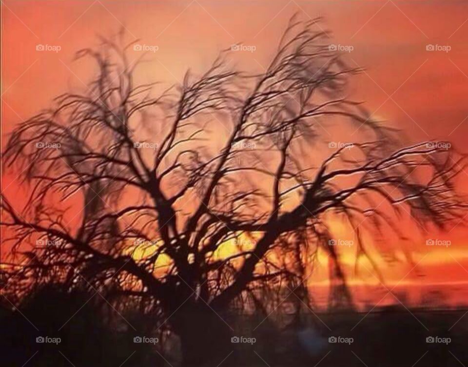  #sunshine #sunny #sunlight #sunlight #sunsets #sunset_pics #nice #nicepic #godscreation #Godbless #sky #skyline #slylovers #skylook #sky_captures #skyporn #creation #cieloazul #creaciondedios #naturaleza #graciasdios #goodnight #goodnight #nigth #instagood #photooftheday #photoart #tree