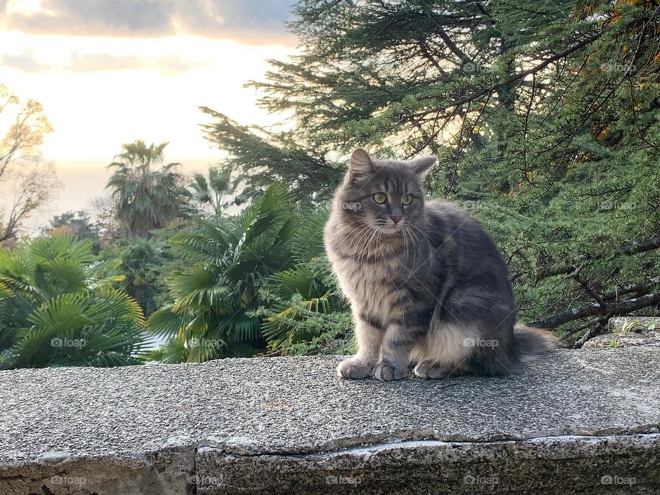 Санаторий Ордженикидзе Сочи 