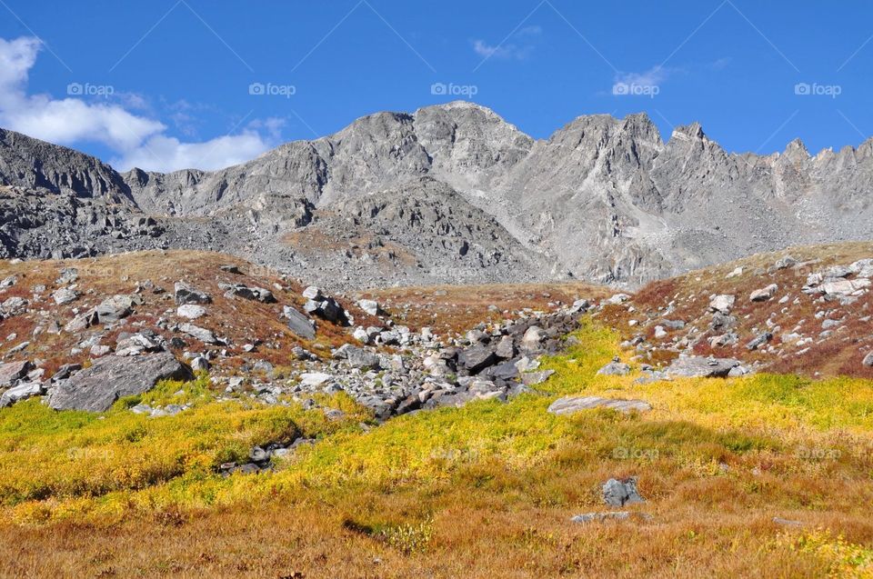 Rugged mountains soar as a blue sky adds vibrant color to a high alpine landscape. An alpine stream sets the stage. The autumn colors are vibrant.