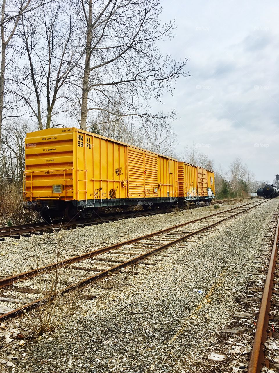 Bright freight trains