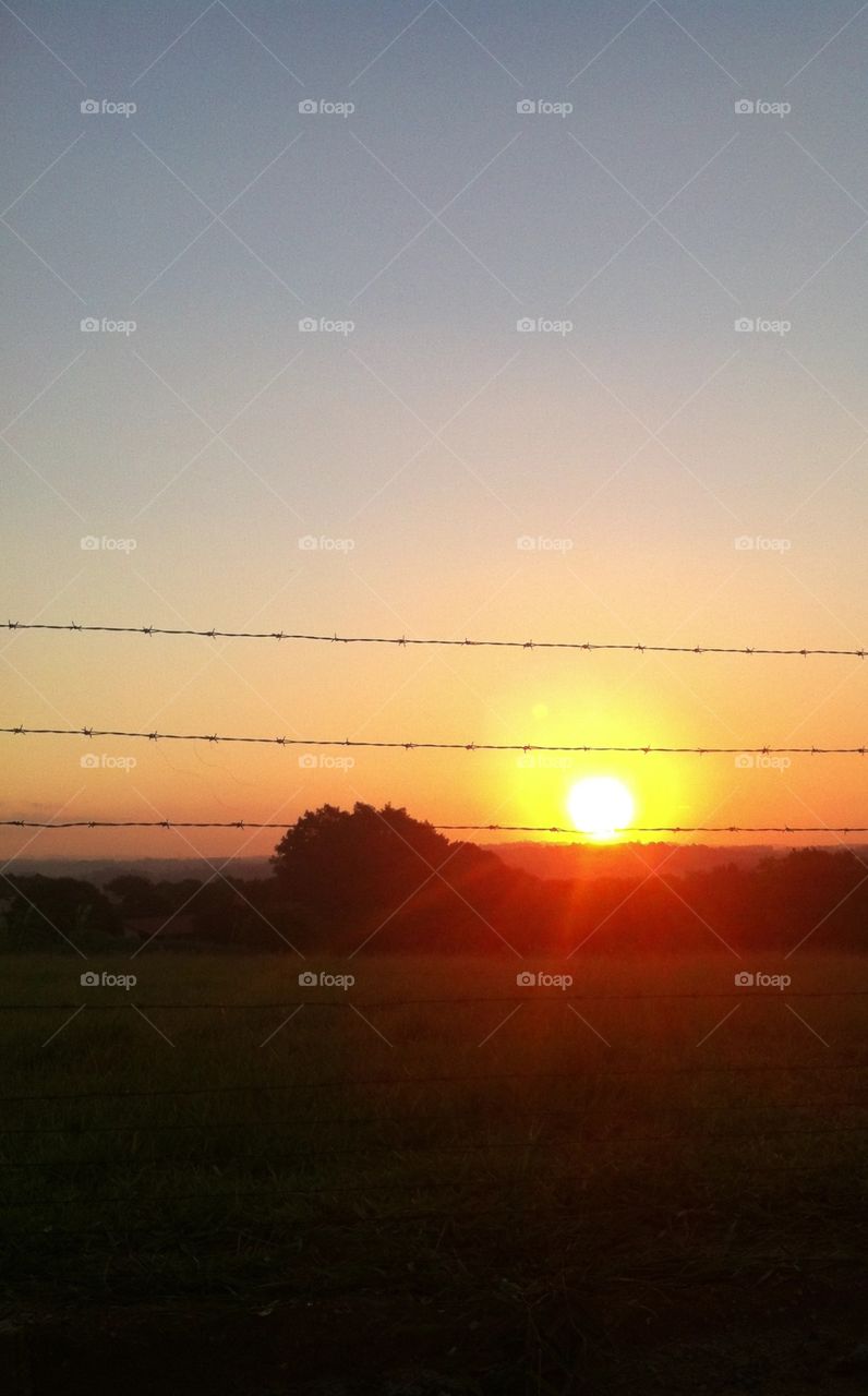 ☀️#Sol muito bonito de #natureza e #beleza indescritíveis.
Obrigado, #MãeTerra. 
🌱
#inspiração #amanhecer #morning #fotografia #paisagem #sun #céu #landscapes 