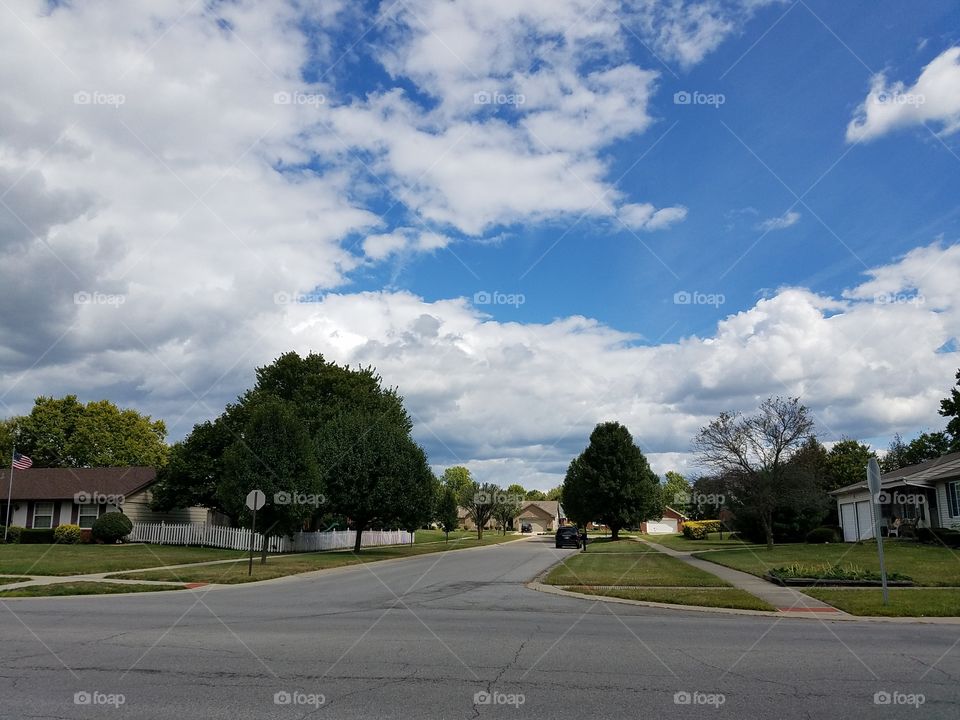 Road, No Person, Tree, Street, Travel