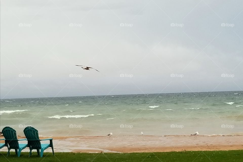 Stormy day on the lake at Breakers Resort, St. Ignes. Seagulls chillin on the shore through the storm.