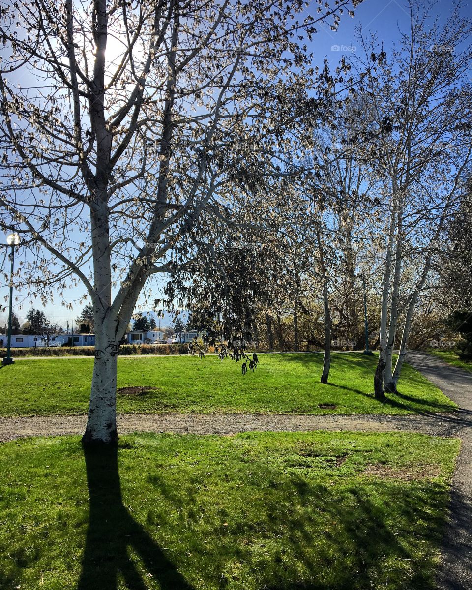 Beautiful spring day 