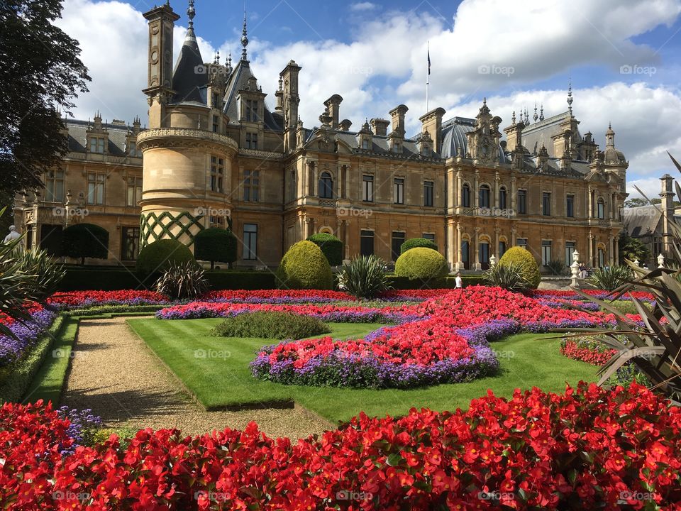 Tourism 
Waddesdon Manor

Savour the  beauty and purple red magic of the gardens and archetecture