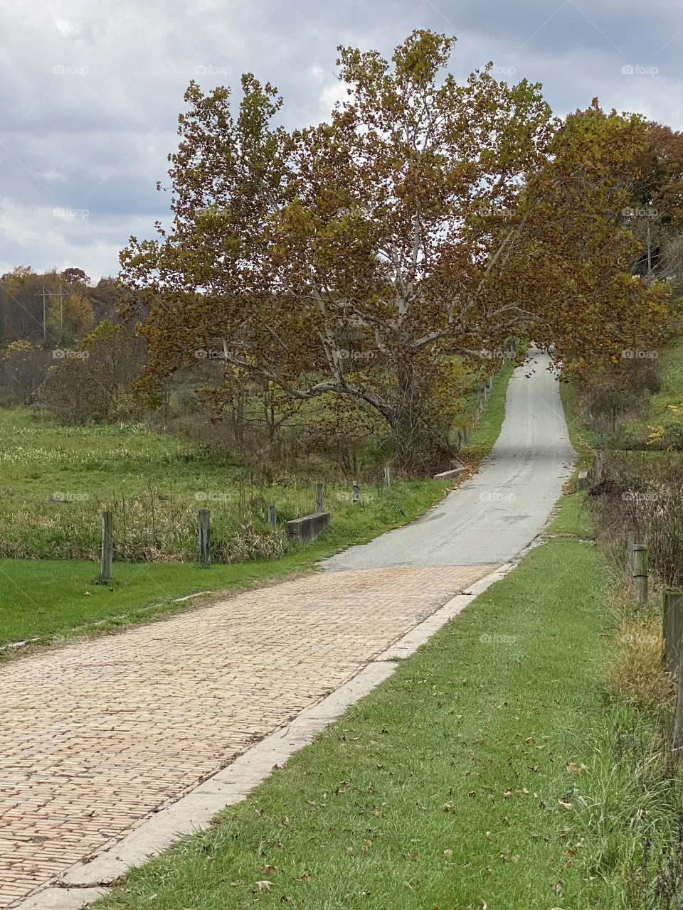 Road less traveled 