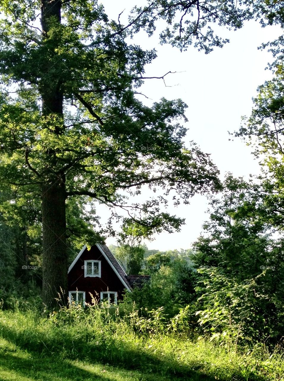 In a cottage in the Wood