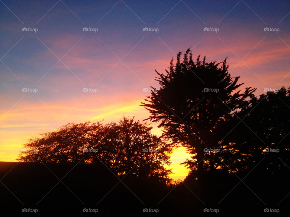 garden sunset silhouette from by dannytwotaps