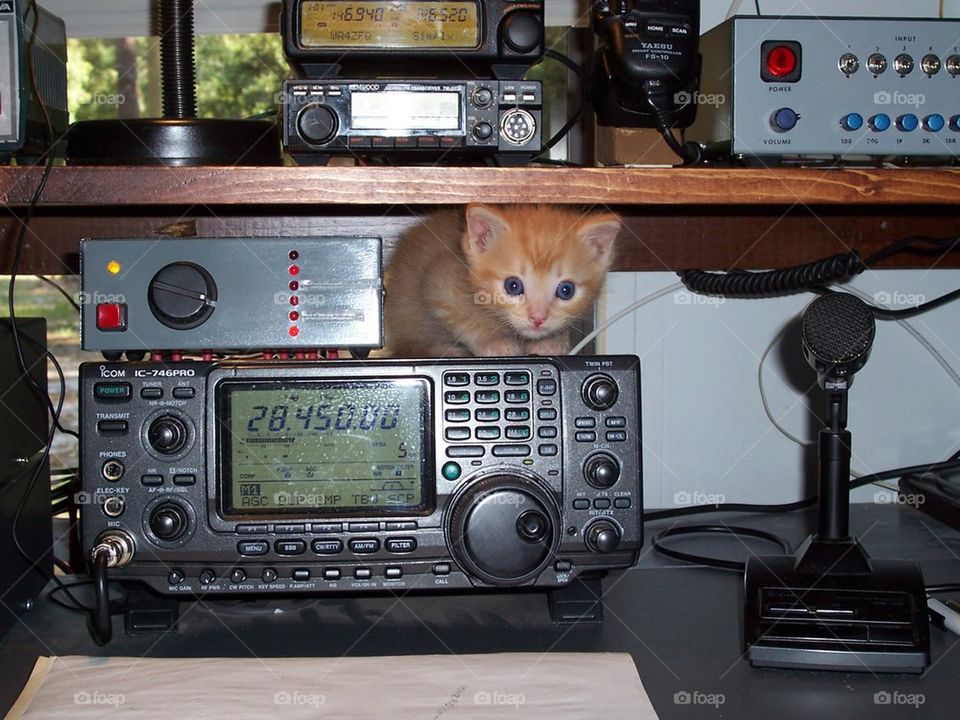 Baby Bob on HAM radio